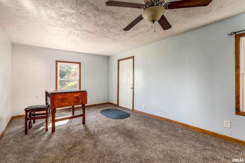Tiny photo for 320 FRANKLIN Avenue, Orient, IL 62874 (MLS # EB460334)