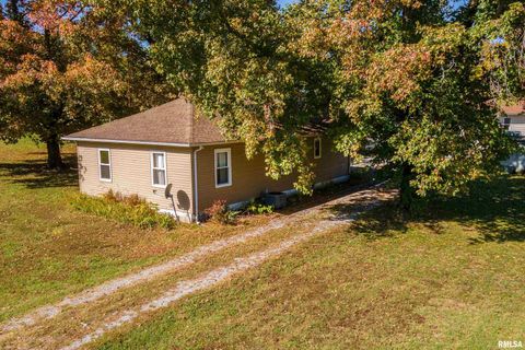 Tiny photo for 320 FRANKLIN Avenue, Orient, IL 62874 (MLS # EB460334)