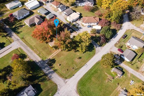 Tiny photo for 320 FRANKLIN Avenue, Orient, IL 62874 (MLS # EB460334)