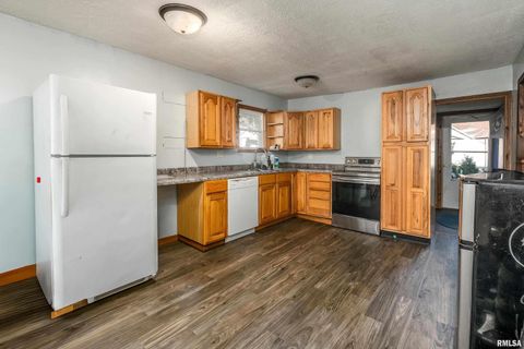 Tiny photo for 320 FRANKLIN Avenue, Orient, IL 62874 (MLS # EB460334)