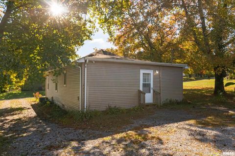 Tiny photo for 320 FRANKLIN Avenue, Orient, IL 62874 (MLS # EB460334)