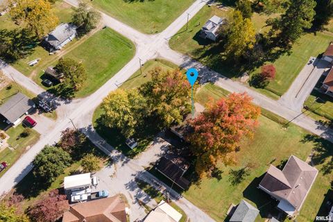 Tiny photo for 320 FRANKLIN Avenue, Orient, IL 62874 (MLS # EB460334)