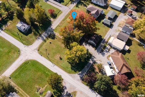 Tiny photo for 320 FRANKLIN Avenue, Orient, IL 62874 (MLS # EB460334)