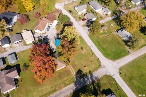 Tiny photo for 320 FRANKLIN Avenue, Orient, IL 62874 (MLS # EB460334)