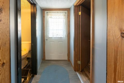 Tiny photo for 320 FRANKLIN Avenue, Orient, IL 62874 (MLS # EB460334)