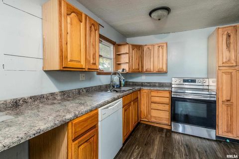 Tiny photo for 320 FRANKLIN Avenue, Orient, IL 62874 (MLS # EB460334)