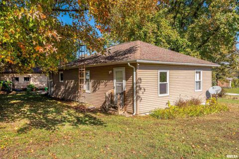 Tiny photo for 320 FRANKLIN Avenue, Orient, IL 62874 (MLS # EB460334)