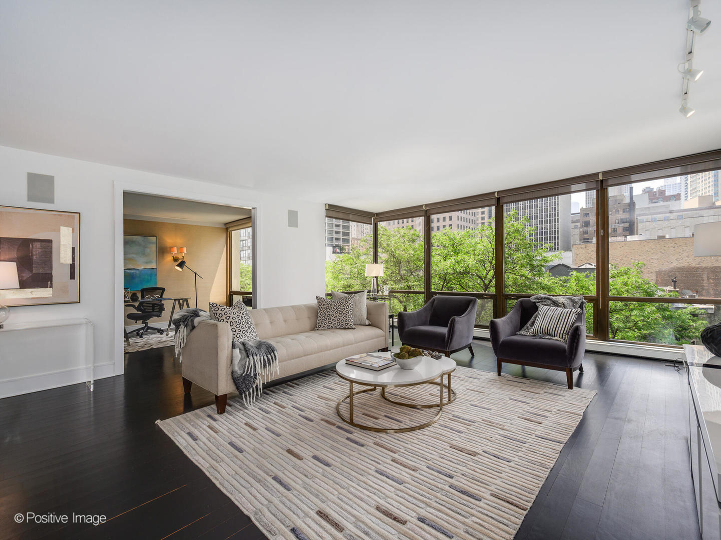 100 E Bellevue Place 6D