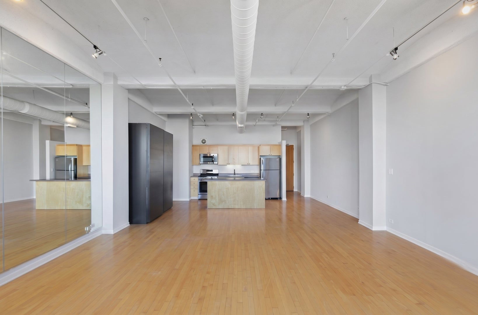 633 S PLYMOUTH Court 1207