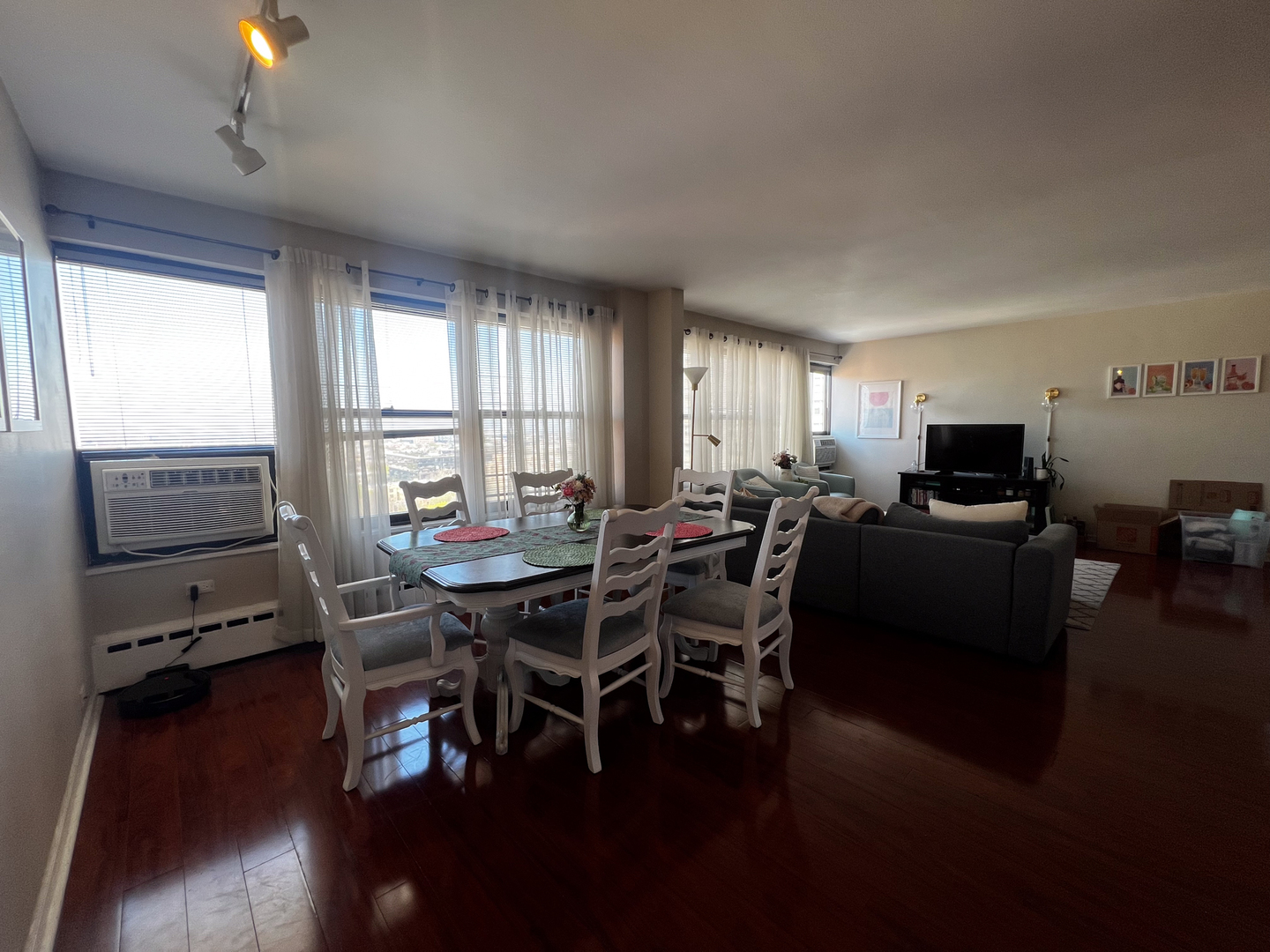 3420 N Lake Shore Drive 17LM