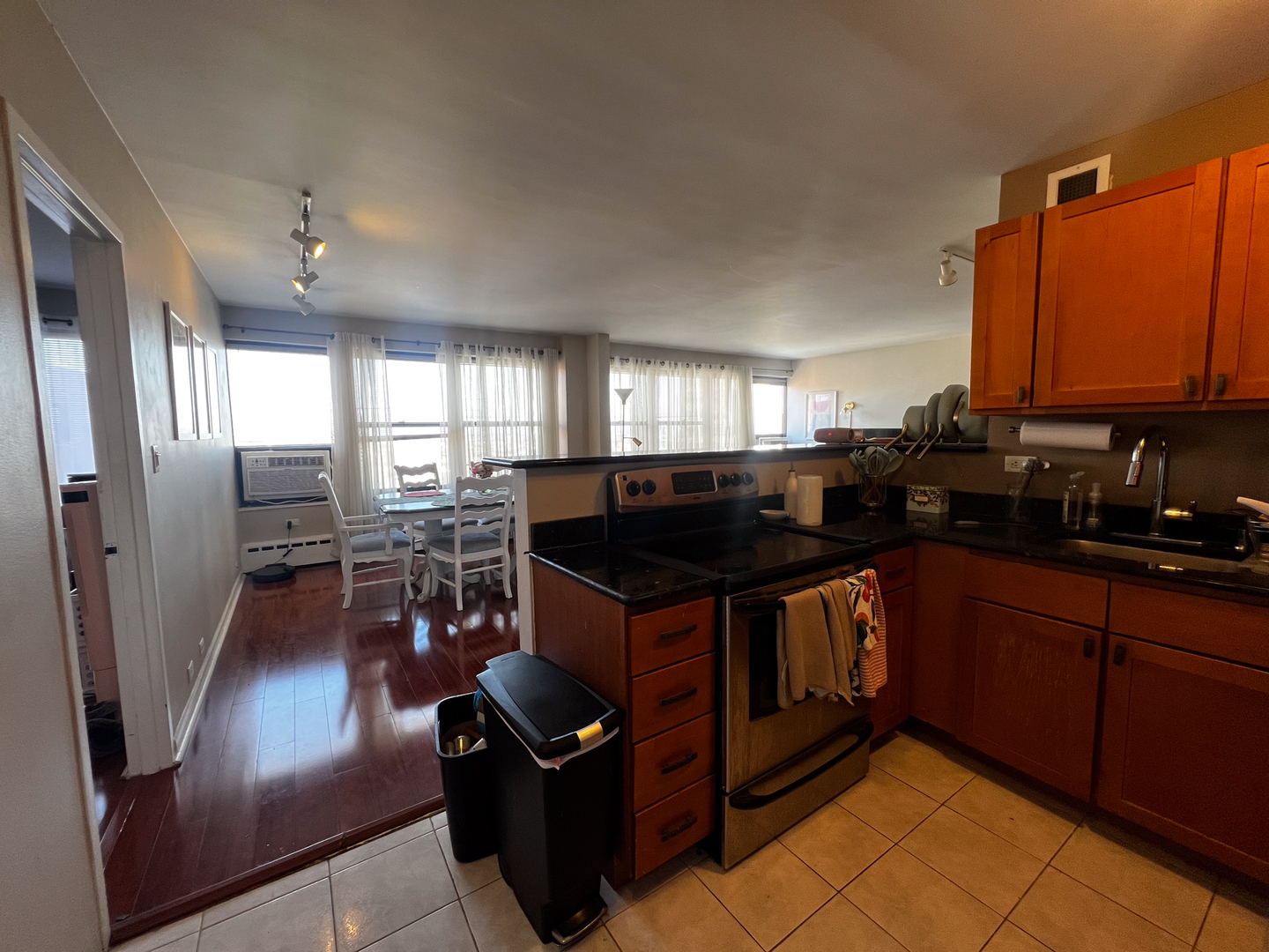 3420 N Lake Shore Drive 17LM