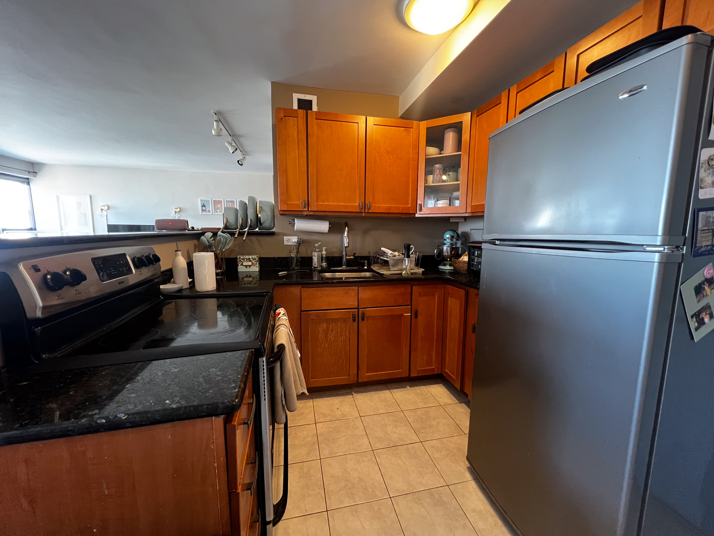 3420 N Lake Shore Drive 17LM