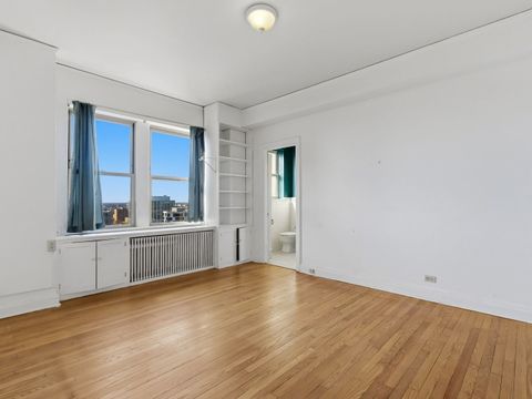 Tiny photo for 5000 S Cornell Avenue #20A, Chicago, IL 60615 (MLS # 12592212)