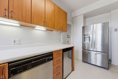 Tiny photo for 5000 S Cornell Avenue #20A, Chicago, IL 60615 (MLS # 12592212)