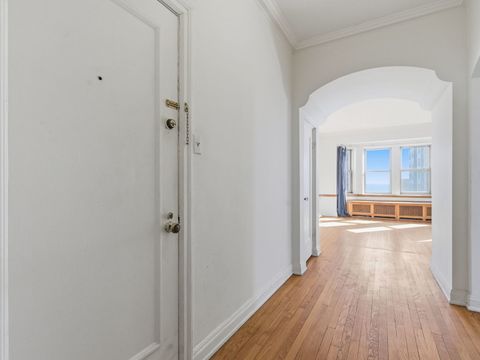 Tiny photo for 5000 S Cornell Avenue #20A, Chicago, IL 60615 (MLS # 12592212)