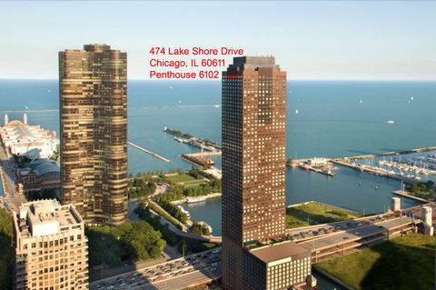 474 N Lake Shore Drive 6102 Chicago IL 60611