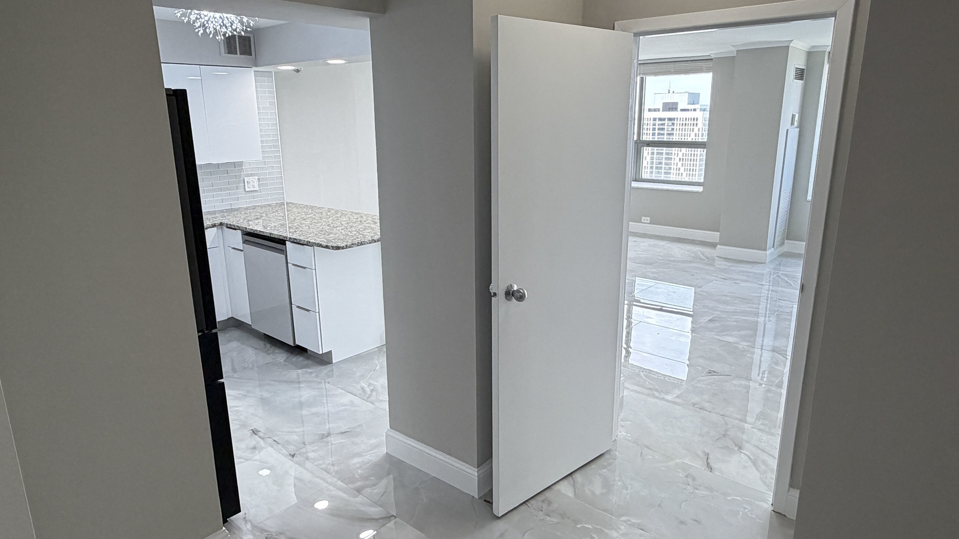 474 N Lake Shore Drive 6102