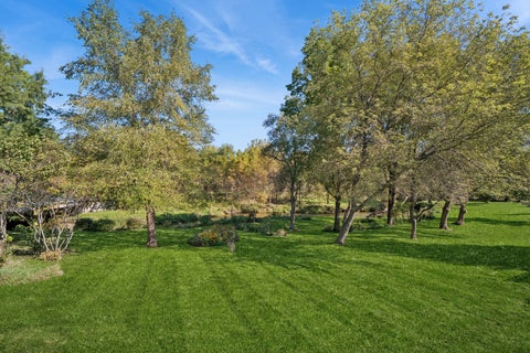 Tiny photo for Elgin, IL 60123 (MLS # 12759078)
