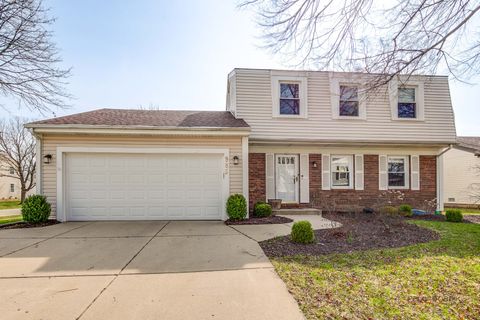 985 Knollwood Drive Buffalo Grove IL 60089