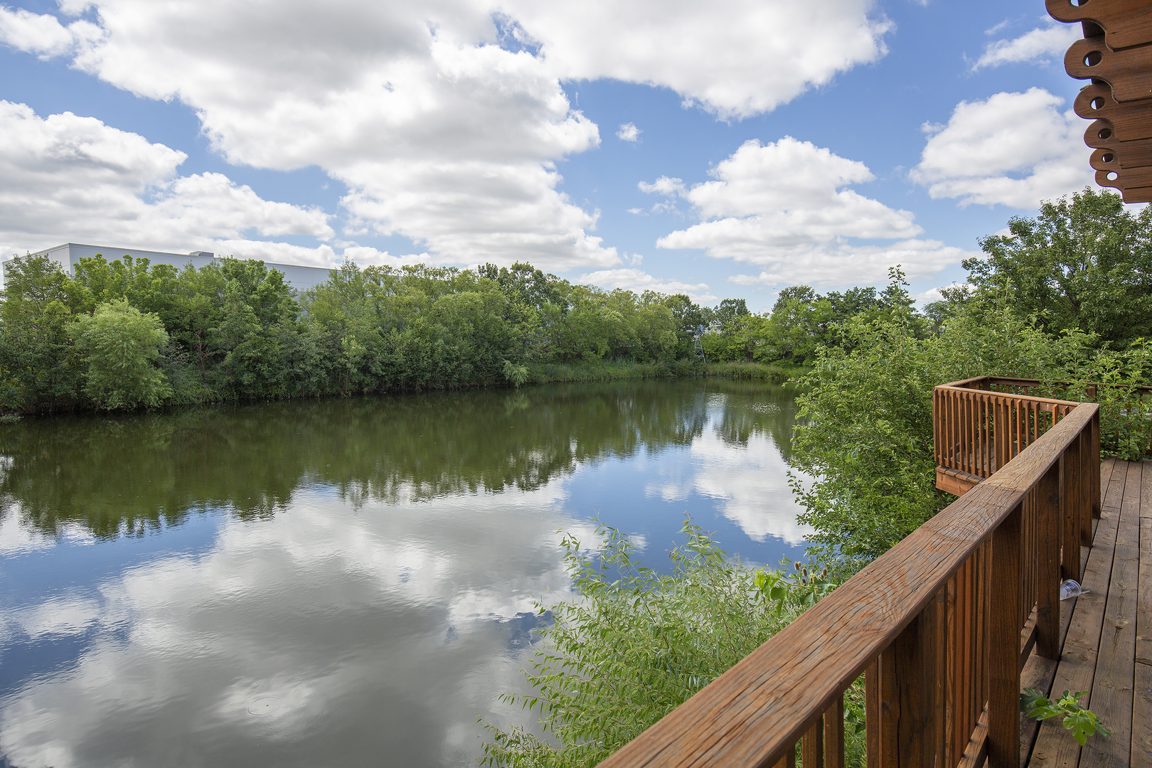 1457 Blackhawk Court 1