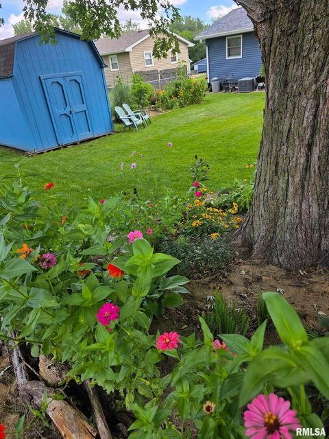 Tiny photo for 8114 9TH Street W, Rock Island, IL 61201 (MLS # QC4269670)