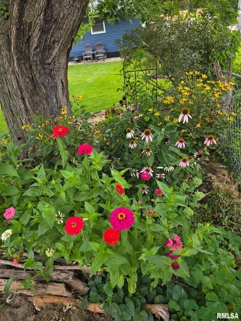 Tiny photo for 8114 9TH Street W, Rock Island, IL 61201 (MLS # QC4269670)