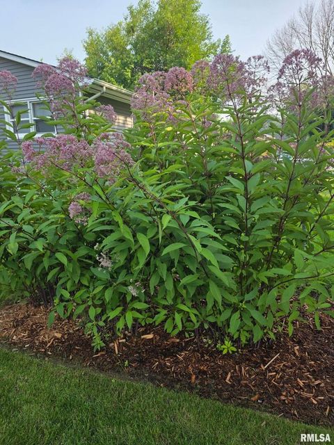 Tiny photo for 8114 9TH Street W, Rock Island, IL 61201 (MLS # QC4269670)