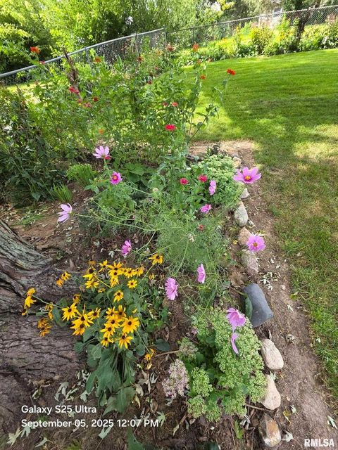 Tiny photo for 8114 9TH Street W, Rock Island, IL 61201 (MLS # QC4269670)