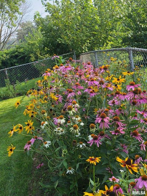 Tiny photo for 8114 9TH Street W, Rock Island, IL 61201 (MLS # QC4269670)