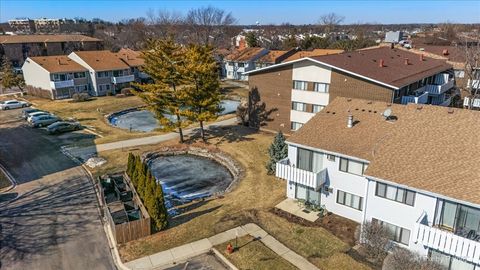 Tiny photo for Palatine, IL 60074 (MLS # 12569861)