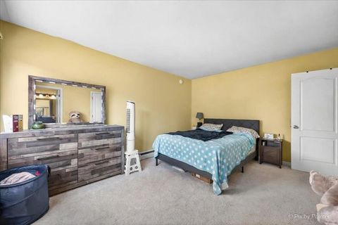 Tiny photo for Palatine, IL 60074 (MLS # 12569861)