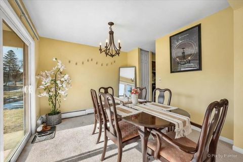 Tiny photo for Palatine, IL 60074 (MLS # 12569861)