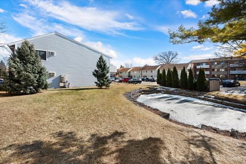 Tiny photo for Palatine, IL 60074 (MLS # 12569861)