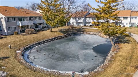 Tiny photo for Palatine, IL 60074 (MLS # 12569861)