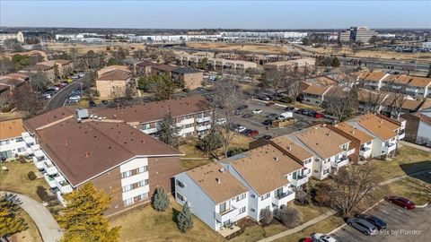 Tiny photo for Palatine, IL 60074 (MLS # 12569861)