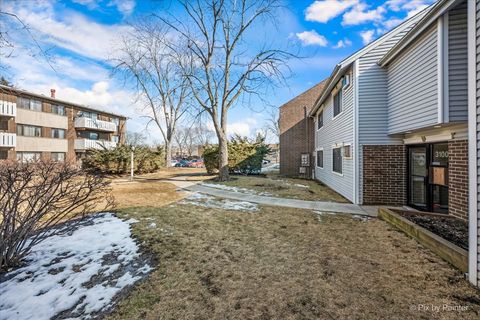 Tiny photo for Palatine, IL 60074 (MLS # 12569861)