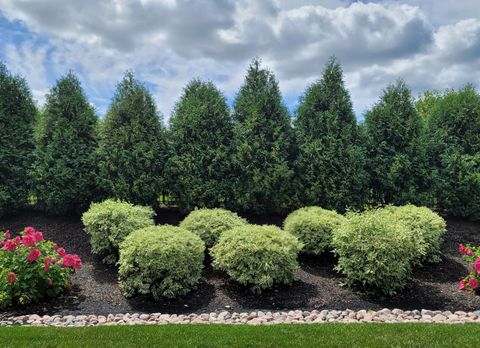 Tiny photo for 11701 Golden Gate Drive, Mokena, IL 60448 (MLS # 12529525)