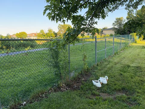 Tiny photo for 8541 S 83rd Avenue, Hickory Hills, IL 60457 (MLS # 12689043)