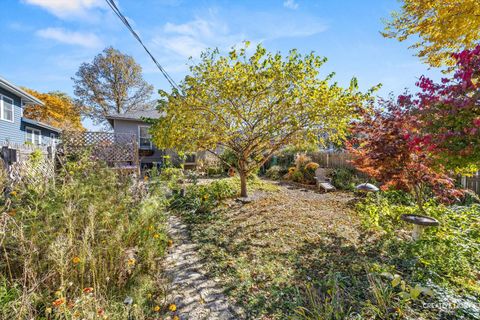 Tiny photo for 509 N Brainard Street, Naperville, IL 60563 (MLS # 12507889)