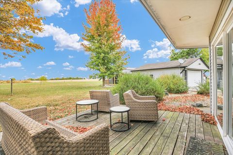 Tiny photo for 1100 E CR 800 North, Tuscola, IL 61953 (MLS # 12499346)