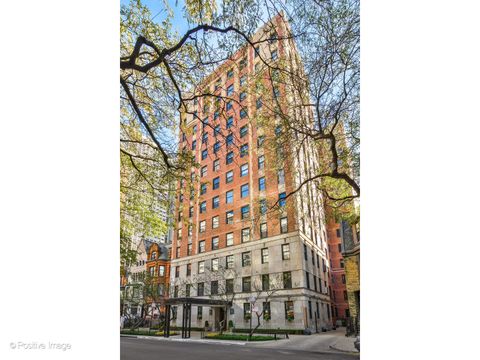 73 E Elm Street 7B Chicago IL 60611