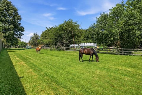 Tiny photo for 19709 W Schweitzer Road, Joliet, IL 60436 (MLS # 12735547)