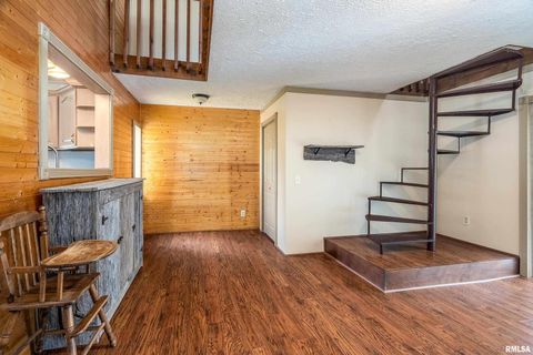 Tiny photo for 414 S HUBBARD Avenue, Goreville, IL 62939 (MLS # QC4267374)