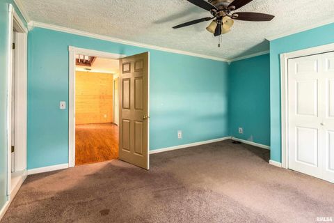 Tiny photo for 414 S HUBBARD Avenue, Goreville, IL 62939 (MLS # QC4267374)