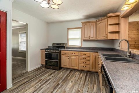 Tiny photo for 414 S HUBBARD Avenue, Goreville, IL 62939 (MLS # QC4267374)