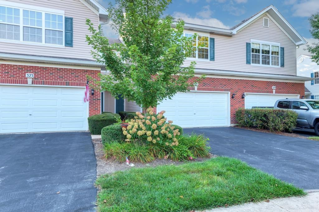 321 Grape Vine Trail