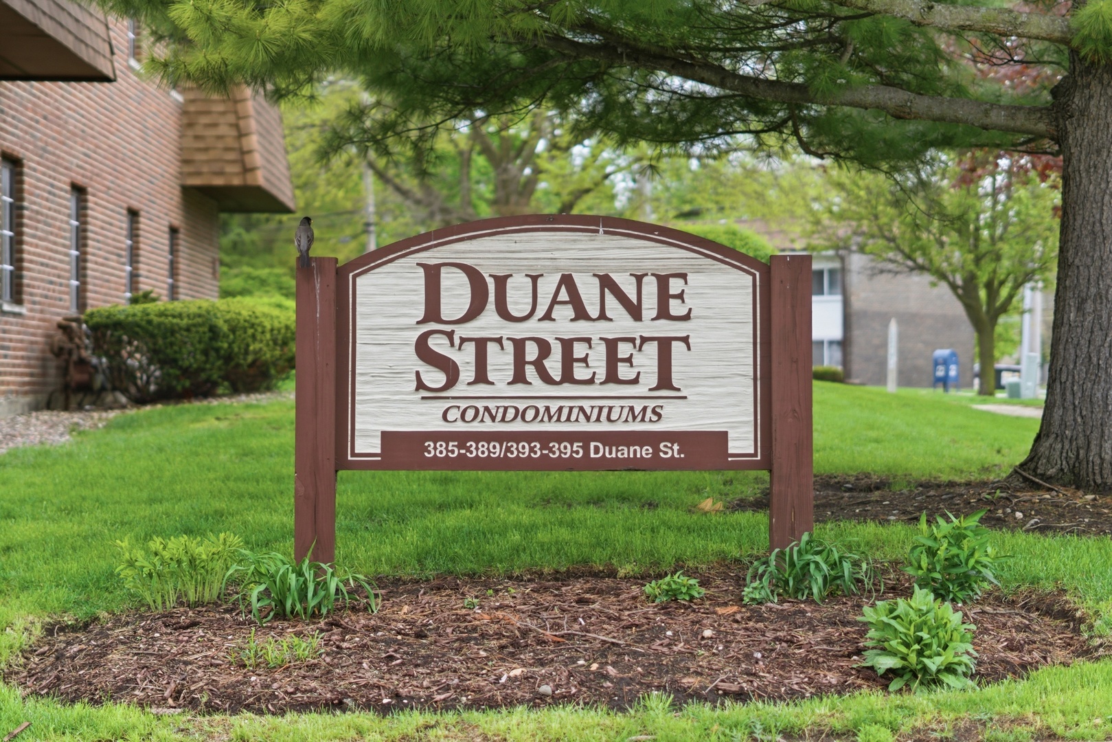 385 Duane Street 304