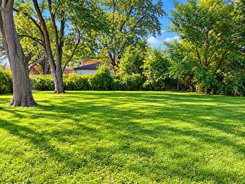 Tiny photo for 15408 Birch Road, Markham, IL 60428 (MLS # 12782566)