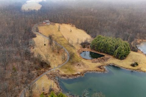 Tiny photo for 1870 N Lick Creek Road, Goreville, IL 62939 (MLS # 12571549)