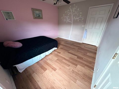 Tiny photo for 5626 Silver Fox Drive, Carterville, IL 62918 (MLS # QC4267195)